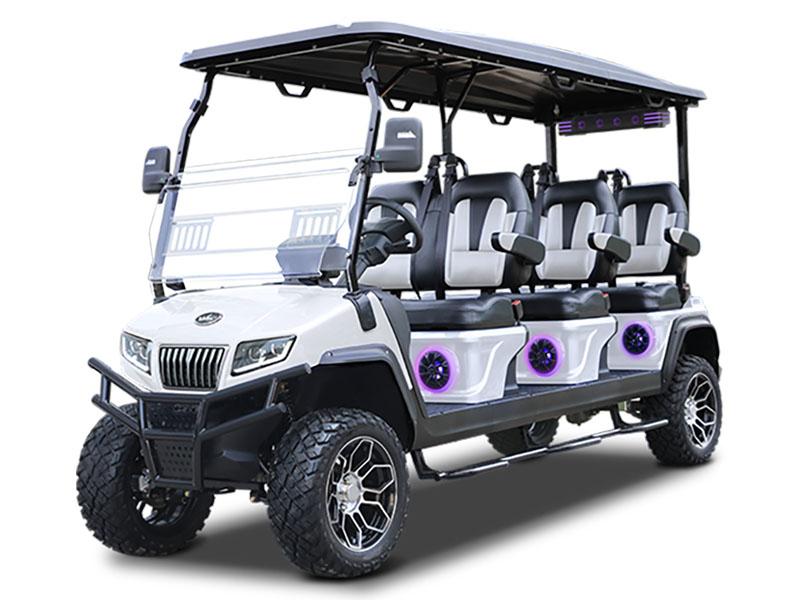 2026 Evolution Electric Vehicles D5 Maverick 6 Plus in Wesley Chapel, Florida - Photo 1