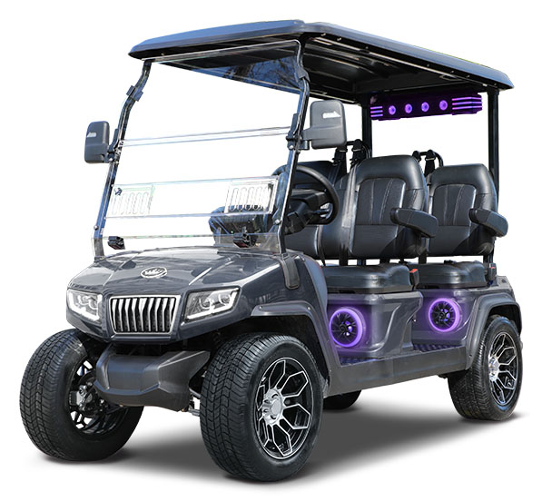 2026 Evolution Electric Vehicles D5 Ranger 4 Plus in Wesley Chapel, Florida - Photo 1