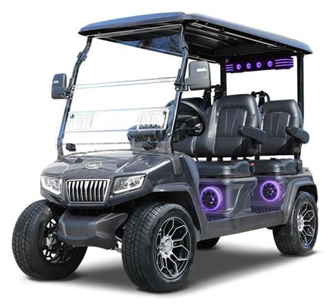 2026 Evolution Electric Vehicles D5 Ranger 4 Plus in Wesley Chapel, Florida - Photo 1