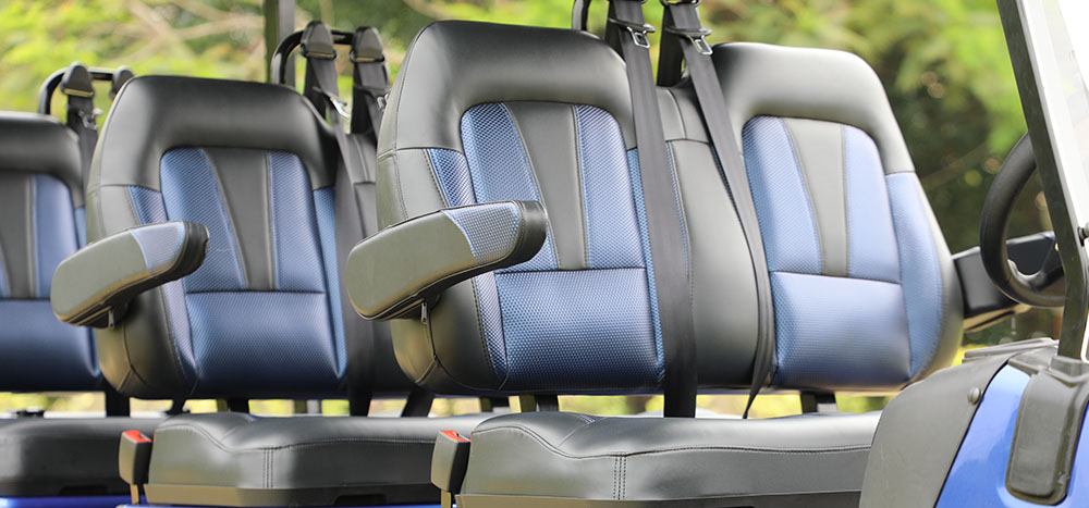 2026 Evolution Electric Vehicles D5 Ranger 6 Plus in Wesley Chapel, Florida - Photo 3