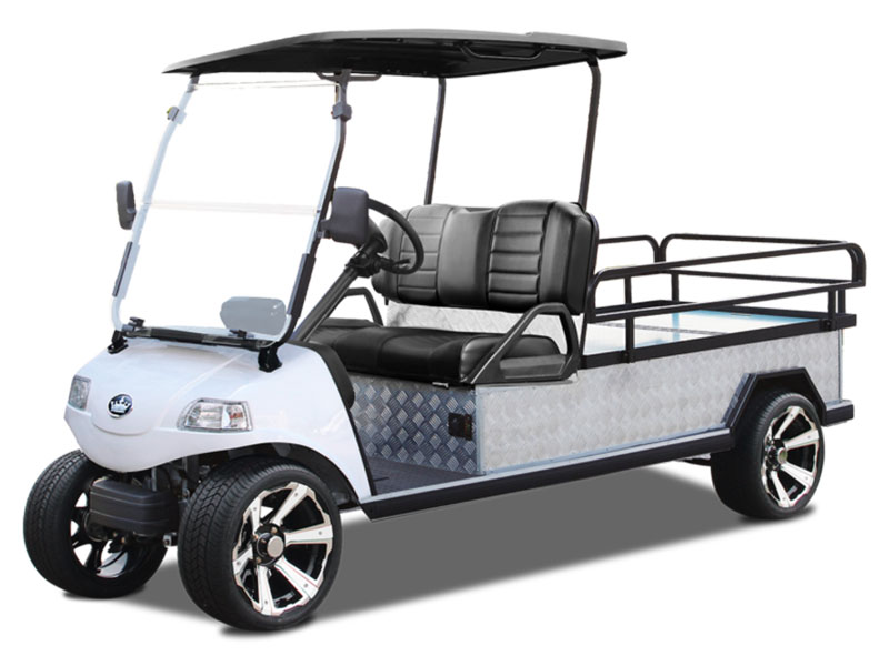 2025 Evolution Electric Vehicles Turfman 1000 Plus East in Virginia Beach, Virginia - Photo 1