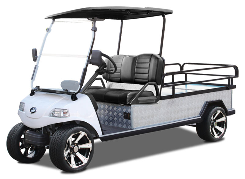 2026 Evolution Electric Vehicles Turfman 1000 Plus East in Wesley Chapel, Florida - Photo 1