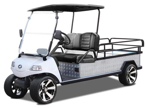 2026 Evolution Electric Vehicles Turfman 1000 Plus East