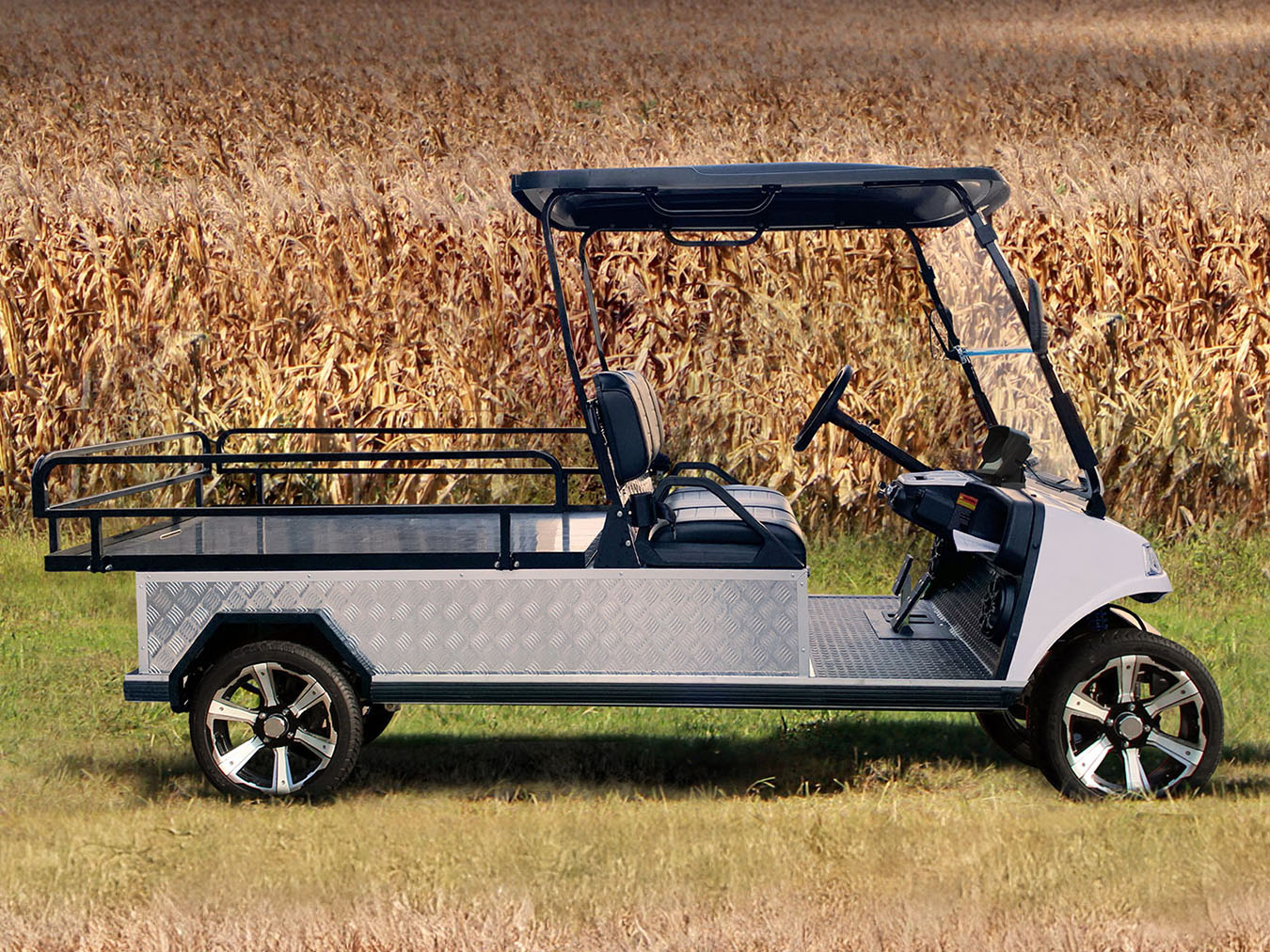 2025 Evolution Electric Vehicles Turfman 1000 Plus East in Virginia Beach, Virginia - Photo 15