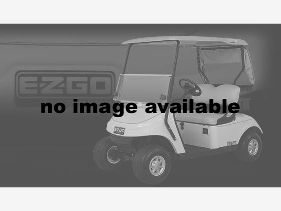 2014 E-Z-GO Freedom RXV Gas in Hawarden, Iowa - Photo 1