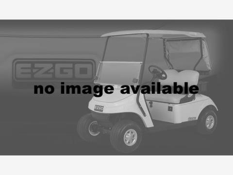 2014 E-Z-GO Freedom RXV Gas in Hawarden, Iowa - Photo 1