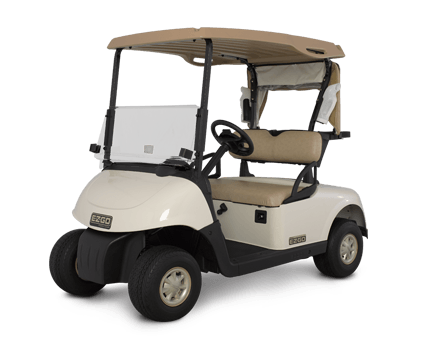 2015 EZGO RXV photo 2