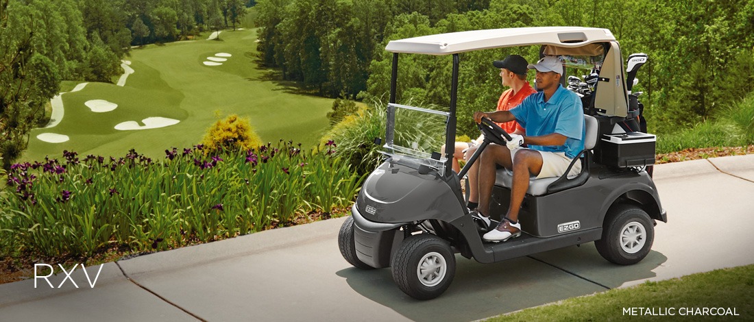 2016 EZGO RXV photo 3