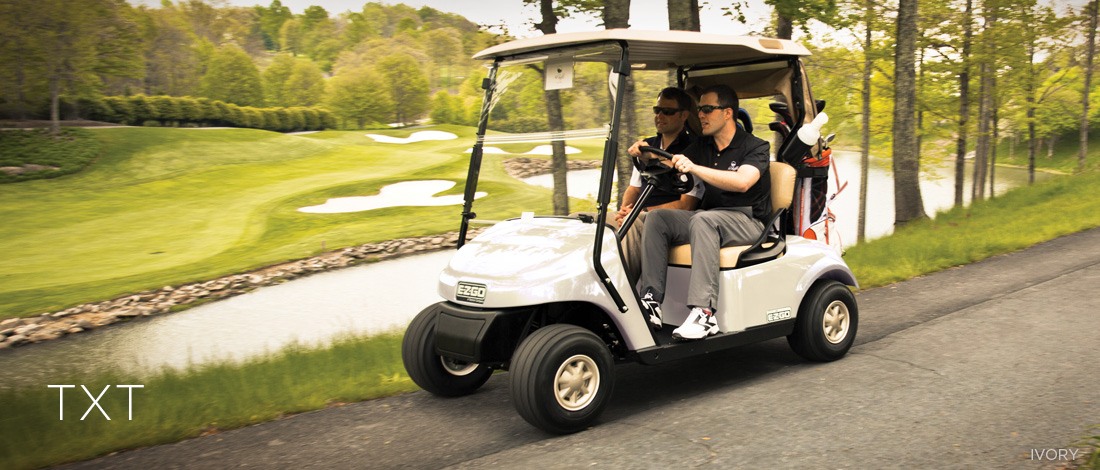 2016 EZGO TXT photo 7
