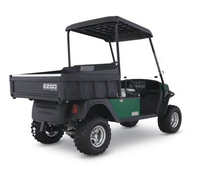 2016 E-Z-GO Terrain 1000 Electric in Rancho Murieta, California - Photo 5