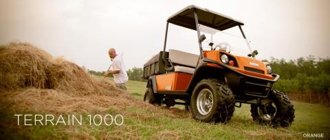 2016 E-Z-GO Terrain 1000 Electric in Rancho Murieta, California - Photo 1