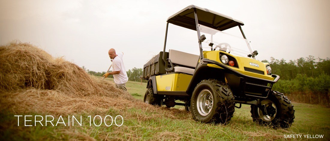 2016 E-Z-GO Terrain 1000 Electric in Dysart, Iowa - Photo 1