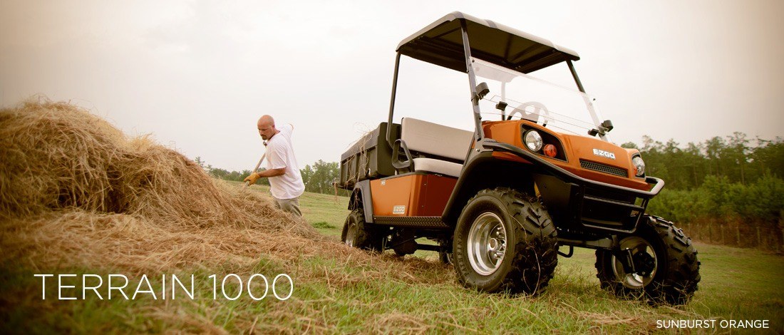 2016 E-Z-GO Terrain 1000 Gasoline in Dysart, Iowa - Photo 1