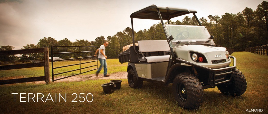 2016 E-Z-GO Terrain 250 Electric in Dysart, Iowa - Photo 1