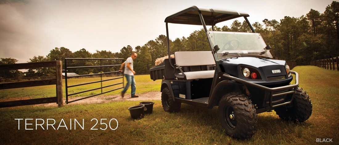 2016 E-Z-GO Terrain 250 Electric in Rancho Murieta, California - Photo 1