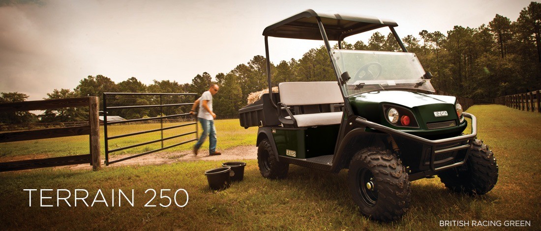 2016 E-Z-GO Terrain 250 Electric in Dysart, Iowa - Photo 1