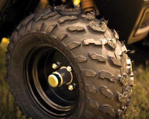 2016 E-Z-GO Terrain 250 Electric in Dysart, Iowa - Photo 4