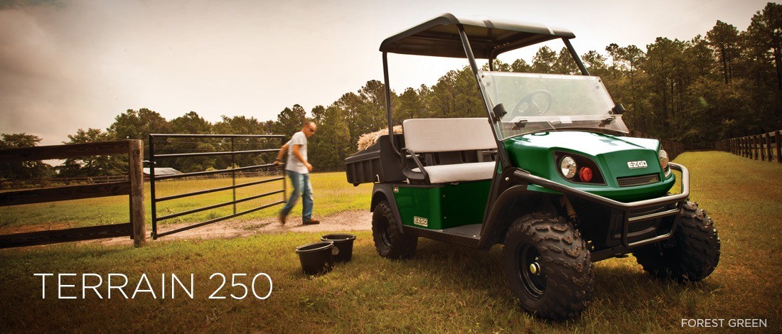 2016 E-Z-GO Terrain 250 Electric in Dysart, Iowa - Photo 1