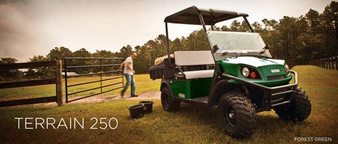 2016 E-Z-GO Terrain 250 Electric