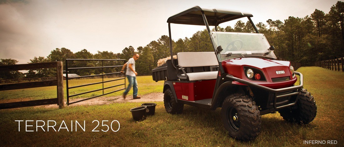 2016 E-Z-GO Terrain 250 Electric in Dysart, Iowa - Photo 1