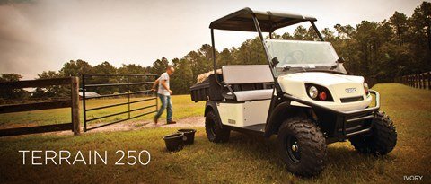 2016 E-Z-GO Terrain 250 Electric