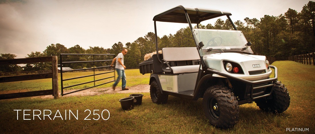 2016 E-Z-GO Terrain 250 Electric in Dysart, Iowa - Photo 10