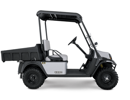 2016 E-Z-GO Terrain 250 Electric in Dysart, Iowa - Photo 4