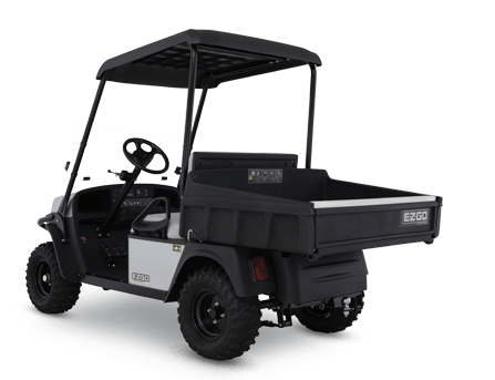 2016 E-Z-GO Terrain 250 Electric in Dysart, Iowa - Photo 7