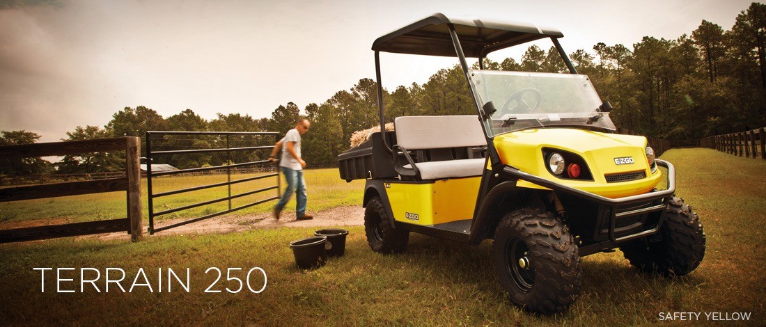 2016 E-Z-GO Terrain 250 Electric in Rancho Murieta, California - Photo 1