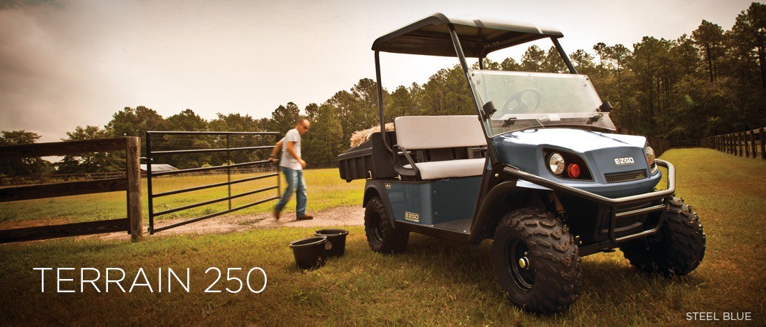 2016 E-Z-GO Terrain 250 Electric in Rancho Murieta, California - Photo 1