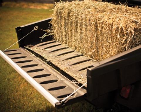 2016 E-Z-GO Terrain 250 Gas in Rancho Murieta, California - Photo 2