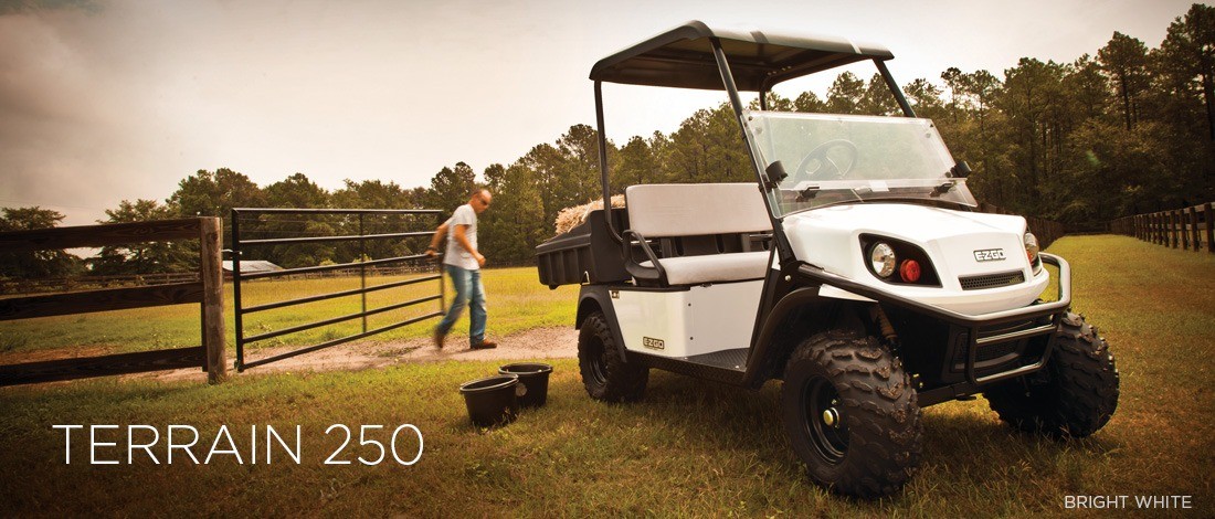 2016 E-Z-GO Terrain 250 Gas in Rancho Murieta, California - Photo 1