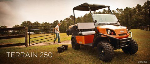 2016 E-Z-GO Terrain 250 Gas in Rancho Murieta, California - Photo 1