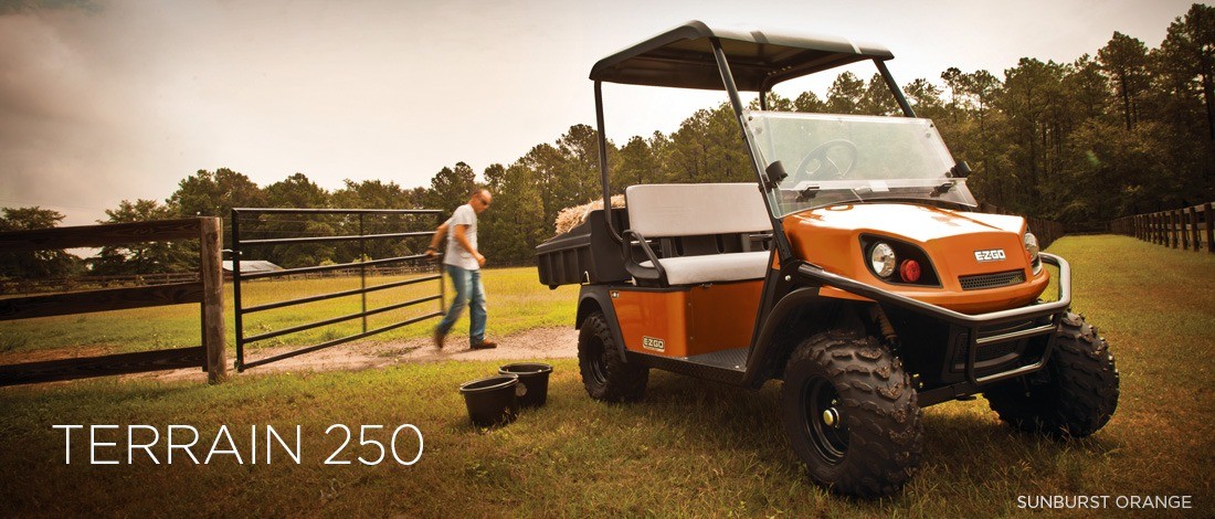 2016 E-Z-GO Terrain 250 Gas in Dysart, Iowa - Photo 1