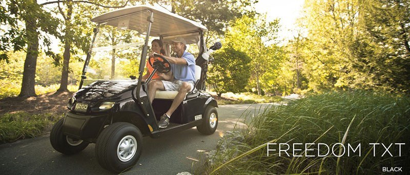 2017 E-Z-GO Golf Freedom TXT Electric in Columbia, South Carolina - Photo 9
