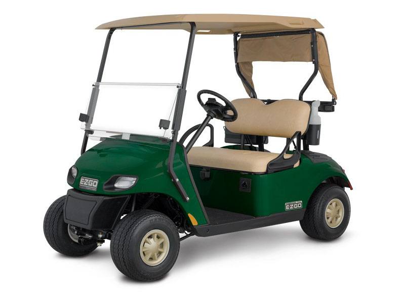 2018 Freedom TXT (PTV) Electric