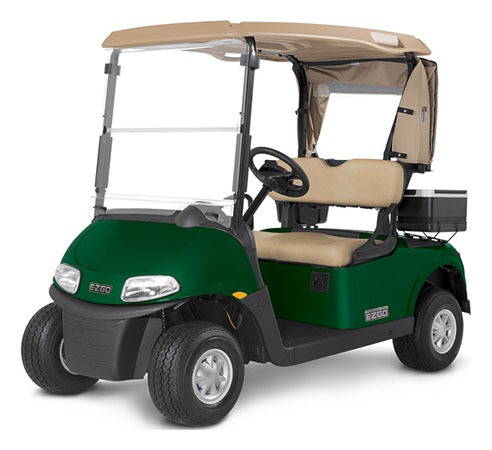 2019 E-Z-GO Freedom RXV (PTV) ELiTE — photo 2