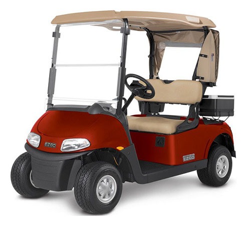 2019 E-Z-GO Freedom RXV (PTV) ELiTE — photo 3