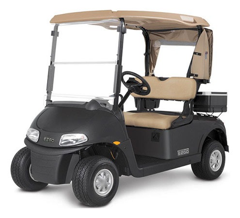 2019 EZGO Freedom