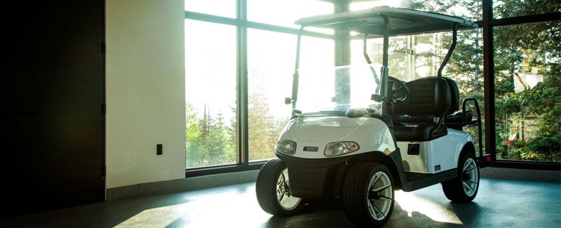 2020 E-Z-GO Freedom RXV Elite — photo 7