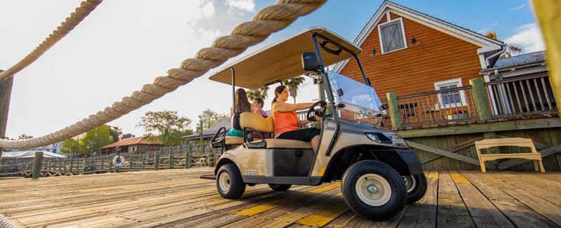 2019 EZGO Freedom photo 9