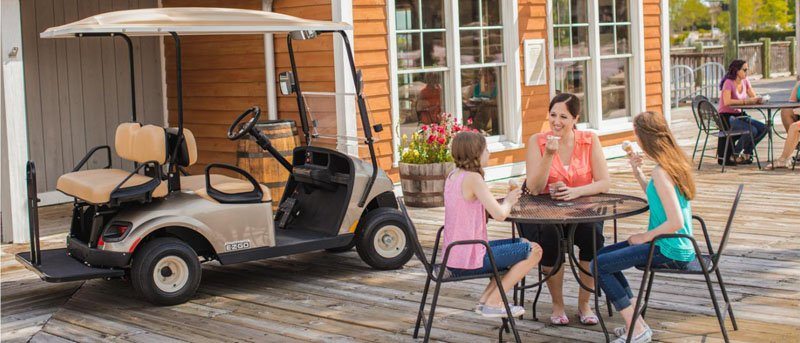 2019 EZGO Freedom photo 7