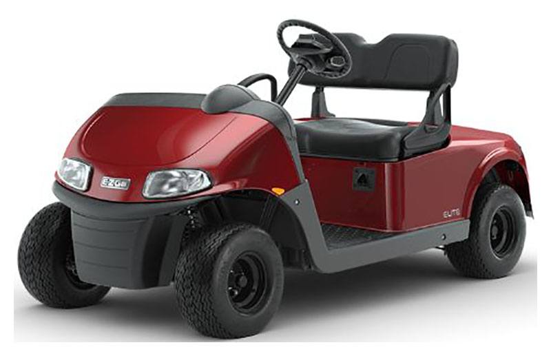 2021 EZGO Freedom photo 4