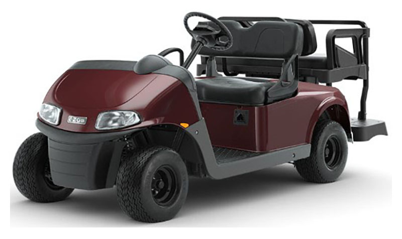 2023 EZGO Freedom