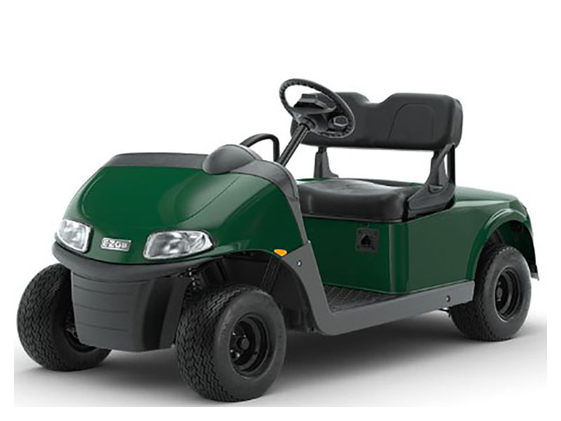 2023 E-Z-GO Freedom RXV ELiTE 2.2 Single Pack with Light World Charger in West End, North Carolina - Photo 6