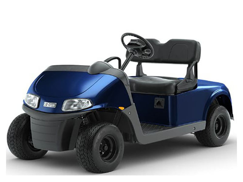 2023 EZGO Freedom