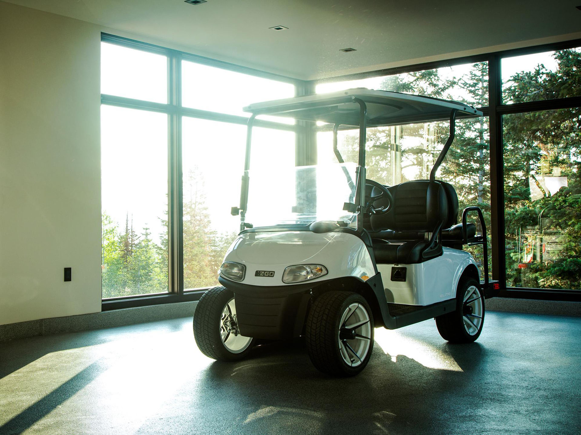 2023 EZGO Freedom photo 2