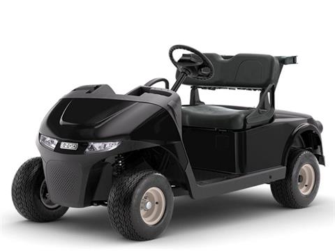 2024 E-Z-GO Freedom RXV ELiTE