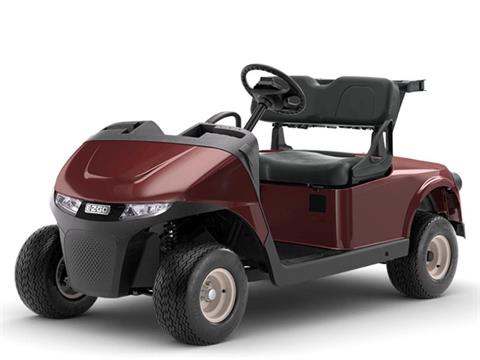 2024 E-Z-GO Freedom RXV ELiTE