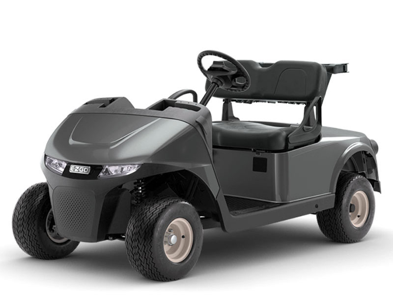 2024 EZGO Freedom